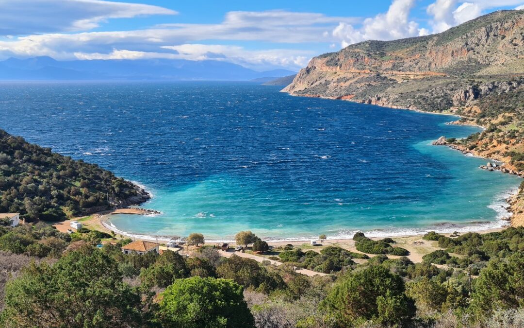 Roadkill, Knipserei unterwegs 😉